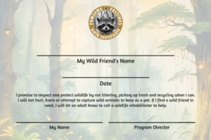 Pawsome Pastimes Certificate