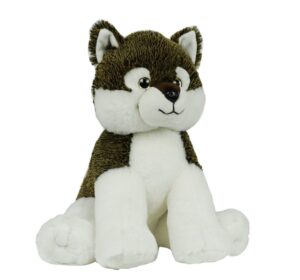 Coyote / Wolf